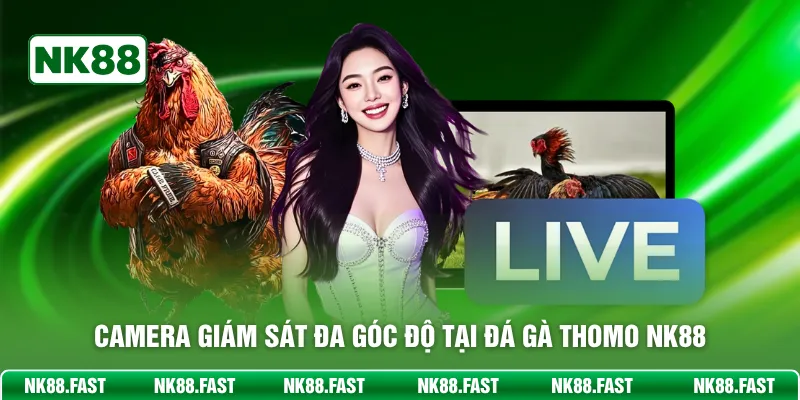 Camera giám sát đa góc độ tại đá gà Thomo NK88