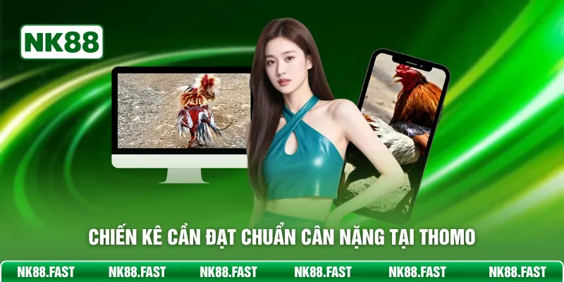 Chiến kê cần đạt chuẩn cân nặng tại Thomo