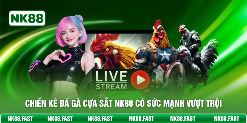 Chiến kê đá gà cựa sắt NK88 có sức mạnh vượt trội