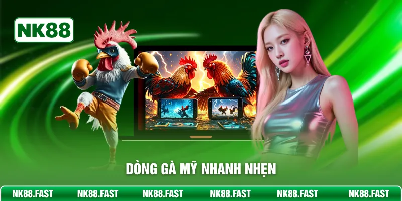 Dòng gà Mỹ nhanh nhẹn