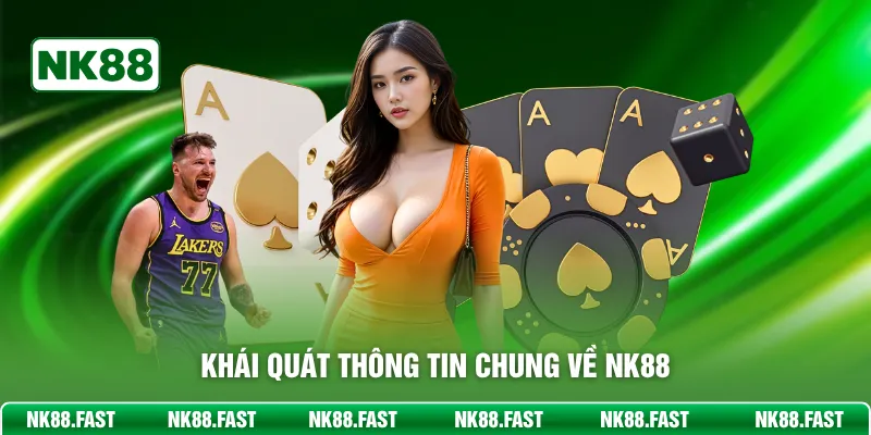 Khái quát thông tin chung về NK88